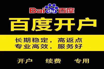 行业内的SEM竞价策略与效果对比案例